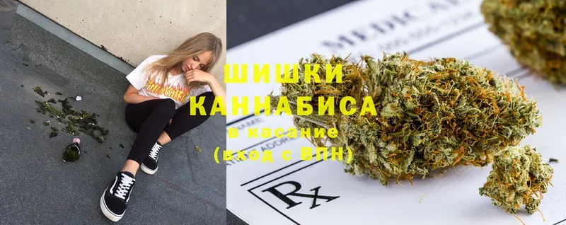 Канабис SATIVA & INDICA  MEGA как зайти  Юрьев-Польский  как найти закладки 